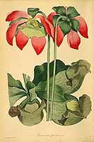  no thumbnail available