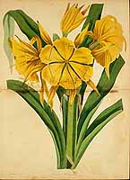  no thumbnail available