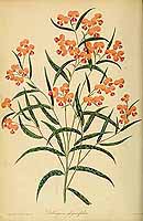  no thumbnail available