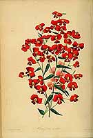  no thumbnail available