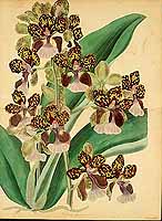  no thumbnail available