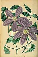  no thumbnail available