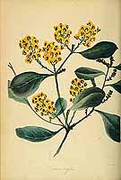  no thumbnail available