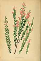  no thumbnail available