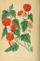  no thumbnail available