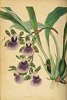  no thumbnail available