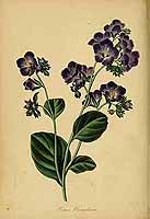  no thumbnail available