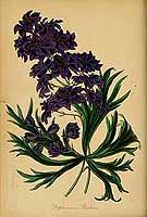  no thumbnail available