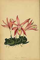  no thumbnail available