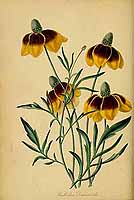  no thumbnail available