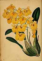  no thumbnail available