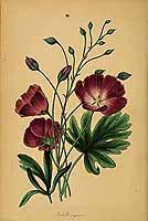  no thumbnail available