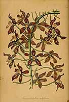  no thumbnail available