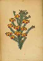  no thumbnail available