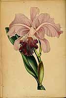  no thumbnail available