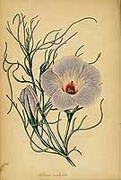  no thumbnail available