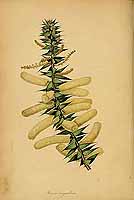  no thumbnail available