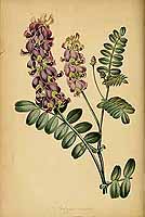  no thumbnail available