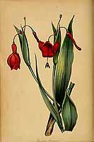  no thumbnail available