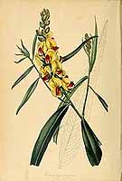  no thumbnail available