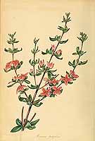  no thumbnail available