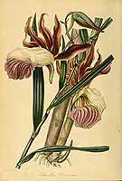  no thumbnail available