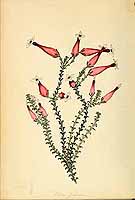  no thumbnail available