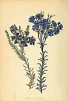  no thumbnail available