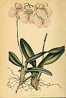  no thumbnail available