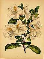  no thumbnail available