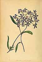  no thumbnail available