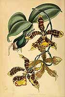  no thumbnail available