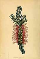  no thumbnail available