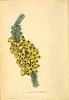  no thumbnail available