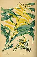  no thumbnail available