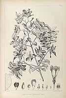  no thumbnail available