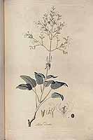  no thumbnail available