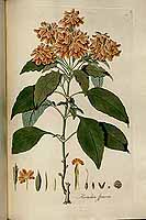  no thumbnail available