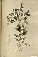  no thumbnail available