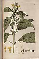  no thumbnail available