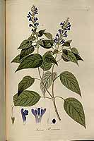  no thumbnail available