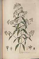  no thumbnail available