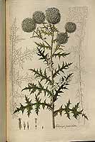  no thumbnail available