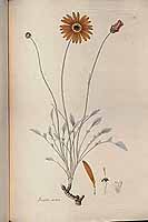  no thumbnail available