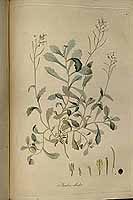  no thumbnail available