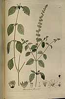  no thumbnail available