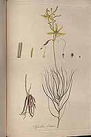  no thumbnail available