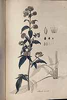  no thumbnail available