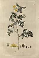  no thumbnail available