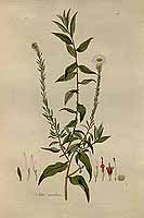  no thumbnail available